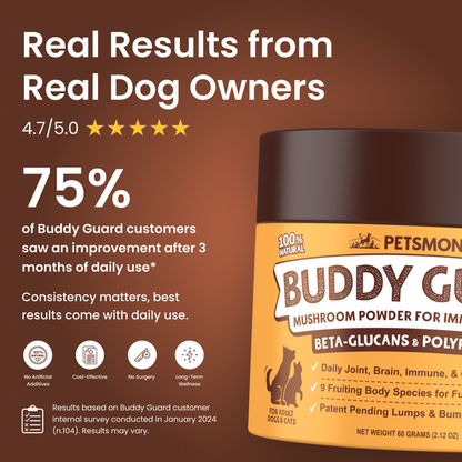 PETSMONT BUDDY GUARD: Daily Wellness Support for Senior Dogs