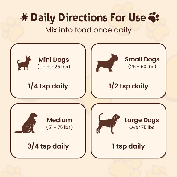 PETSMONT BUDDY GUARD: Daily Wellness Support for Senior Dogs