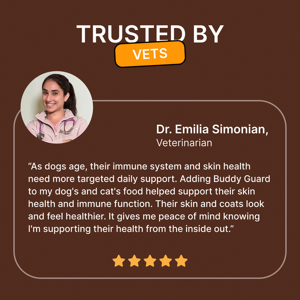PETSMONT BUDDY GUARD: Daily Wellness Support for Senior Dogs